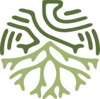 Home - Roots and Wings Therapy