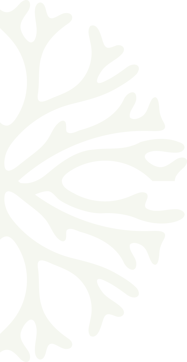 RootsandWings-Rootsgraphic-BG
